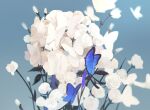  absurdres blue_background blue_butterfly blurry_edges bud bug butterfly chinese_commentary commentary_request flower gradient_background highres isekai_joucho kamitsubaki_studio mixed-language_commentary no_humans optical_illusion walluka white_butterfly white_flower 