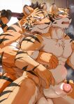 abdominal_bulge age_difference anthro bathroom belly duo entwined_tails felid fur hi_res male male/male mammal muscular muscular_anthro muscular_male older_male pantherine striped_body striped_fur stripes tail tail_coil tiger younger_male zex