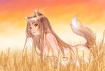  1girl all_fours animal_ears artist_name brown_hair highres holo lips long_hair looking_at_viewer looking_to_the_side nude outdoors red_eyes solo spice_and_wolf sunset tail wheat_field yonemura_kouichirou 