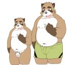 2024 anthro balls belly brown_body canid canine clothing eyewear flaccid genitals glasses inuryu kemono male mammal moobs navel nipples overweight overweight_male penis raccoon_dog simple_background solo tanuki underwear white_background