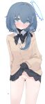  1girl absurdres bar_censor black_skirt blue_eyes blue_hair blue_halo brown_cardigan cardigan censored clothes_lift copyright_request halo highres lifted_by_self long_hair looking_at_viewer mikozin simple_background skirt skirt_lift solo standing thighs white_background 