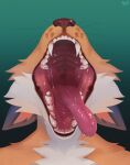 2024 ambiguous_gender anthro bodily_fluids brown_nose bust_portrait canid cheek_tuft dated ears_back facial_tuft famir_(artist) fangs front_view fur gradient_background hi_res mammal mouth_shot obscured_eyes open_mouth orange_body orange_fur pink_tongue pivoted_ears portrait saliva saliva_string signature simple_background solo teeth tongue tongue_out tuft whiskers white_body white_fur 