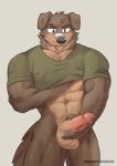 abs anthro balls biceps bodily_fluids bottomless brown_body brown_fur canid canine canis clothed clothing domestic_dog erection fur genital_fluids genitals hi_res humanoid_hands male mammal masbrowndog masturbation muscular muscular_anthro muscular_male pecs penis precum shirt shirt_only simple_background solo t-shirt t-shirt_only tail topwear topwear_only