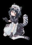  1girl absurdres alternate_costume animal_ears apron arairestaurant black_dress black_footwear black_gloves black_hair common_raccoon_(kemono_friends) dress enmaided frilled_apron frilled_dress frills gloves grey_hair highres kemono_friends maid maid_apron maid_headdress multicolored_hair orange_eyes pantyhose puffy_short_sleeves puffy_sleeves raccoon_ears raccoon_girl raccoon_tail short_hair short_sleeves sidelocks solo suspenders tail white_apron white_pantyhose 