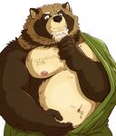  2024 anthro belly brown_body brown_fur canid canine fur hi_res humanoid_hands kemono male mammal mature_male moobs navel nipples overweight overweight_male raccoon_dog raichoclub simple_background solo tanuki 