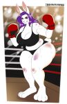  2024 absurd_res anthro big_butt bodily_fluids boxing boxing_gloves bruised bruised_arm bruised_face bruised_leg butt clothed clothing female handwear hi_res lagomorph leporid mammal rabbit solo sport sweat thaismotosuwa thick_thighs 