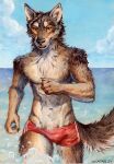  acrylic_painting_(artwork) akatan_art anthro arm_tuft bottomwear brown_body brown_fur bulge canid cheek_tuft clothed clothing facial_tuft fur glistening glistening_eyes hi_res looking_at_viewer male mammal navel open_mouth orange_eyes outside painting_(artwork) partially_submerged red_bottomwear red_clothing shoulder_tuft signature solo tan_body tan_fur topless traditional_media_(artwork) tuft 