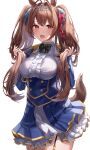  animal_ears daiwa_scarlet_(umamusume) shiranui_(nisioisin_sinob) skirt_lift tail uma_musume_pretty_derby uniform 