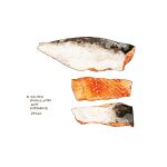  commentary cyannism english_commentary english_text fish food food_focus meat no_humans original salmon seafood simple_background white_background 