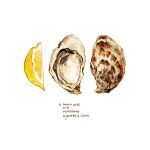  commentary cyannism english_commentary english_text food food_focus fruit lemon no_humans original oyster seafood shell simple_background white_background 