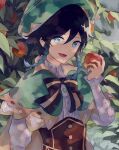  1boy androgynous apple bangs black_hair blue_hair bow braid brooch cape collared_cape collared_shirt commentary corset english_commentary eyebrows_visible_through_hair fenori flower food frilled_sleeves frills fruit genshin_impact gradient_hair green_eyes green_headwear hat hat_flower holding holding_food holding_fruit jewelry leaf light_particles long_sleeves looking_at_viewer male_focus multicolored_hair open_mouth shirt short_hair_with_long_locks sidelocks smile solo twin_braids venti_(genshin_impact) white_flower white_shirt 