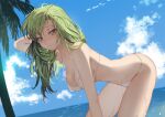  1girl arm_up bent_over bikini blue_sky blush breasts c.c. cleavage code_geass creayus day green_hair hand_in_hair hanging_breasts horizon long_hair looking_at_viewer medium_breasts navel ocean outdoors palm_tree parted_lips sky solo swimsuit symbol-only_commentary thighs tree wet white_bikini yellow_eyes 