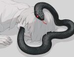  1boy absurdres avogado6 collared_shirt commentary covered_eyes facing_viewer hair_over_eyes highres lying male_focus on_stomach open_mouth original shirt snake snake_in_mouth solo white_hair white_shirt wing_collar 