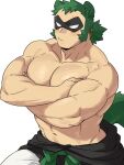  1boy abs animal_ears bara blush crossed_arms green_hair green_tail hair_ears large_pectorals long_sideburns male_focus muscular muscular_male navel navel_hair original pectoral_press pectorals pout raccoon_boy raccoon_ears raccoon_tail ryanpei shirtless short_hair sideburns solo stomach sweatdrop tail tied_hair 