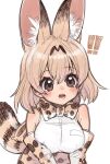  1girl blush bow bowtie breasts extra_ears eyebrows_visible_through_hair gloves high-waist_skirt highres kemono_friends large_breasts looking_at_viewer notora print_gloves print_neckwear print_skirt serval serval_(kemono_friends) serval_print skirt solo upper_body 