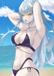  1girl absurdres armpits bangs beach bikini blue_hair blue_sky blush breasts cleavage cloud cloudy_sky crossed_bangs eyebrows_visible_through_hair facial_mark facial_tattoo girls&#039;_frontline green_eyes hand_in_hair highres hk416_(girls&#039;_frontline) long_hair looking_at_viewer looking_away medium_breasts navel ocean open_mouth purple_bikini purple_swimsuit sky solo swimsuit tattoo teardrop weisskaeppchen 