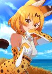  1girl :p animal_ear_fluff animal_ears bare_shoulders blonde_hair blush bow bowtie cat_ears cat_girl cat_tail commentary_request elbow_gloves extra_ears eyebrows_visible_through_hair gloves high-waist_skirt kamuraaa_615 kemono_friends looking_at_viewer ocean print_gloves print_neckwear print_skirt serval_(kemono_friends) serval_print shirt short_hair skirt sky sleeveless solo tail tongue tongue_out water_drop white_shirt wiping_mouth yellow_eyes 