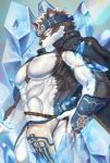  1boy abs ainu animal_ears bara bare_pectorals bulge chest_hair crystal feet_out_of_frame from_side furry furry_male glaring grey_fur grey_hair headband highres horkeu_kamui_(tokyo_houkago_summoners) ice looking_at_viewer male_focus muscular muscular_male navel no_nipples pectorals pelvic_curtain short_hair silver_hair solo stomach tail tokyo_houkago_summoners two-tone_fur vambraces white_fur wolf_boy wolf_ears wolf_tail yellow_eyes yukihoshi 