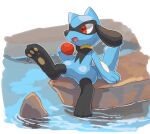  :d arm_support commentary_request full_body gen_4_pokemon holding kikuyoshi_(tracco) no_humans open_mouth pokemon pokemon_(creature) red_eyes riolu ripples sitting smile solo toes tongue water 