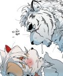  2boys animal_ears arknights bara blush close-up eye_contact face finger_to_another&#039;s_chin furry furry_male furry_with_furry gundii highres korean_text looking_at_another male_focus mountain_(arknights) multiple_boys open_mouth saliva saliva_trail scar scar_across_eye sexually_suggestive short_hair tearing_up thick_eyebrows tiger_boy tiger_ears translation_request white_fur yaoi 