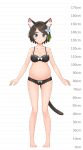  1girl aina_(mao_lian) animal_ear_fluff animal_ears arms_at_sides bare_arms bare_legs bare_shoulders barefoot blue_eyes bow bow_bra bow_panties bra breasts brown_bra brown_hair brown_panties cat_ears cat_tail closed_mouth full_body height_chart highres looking_at_viewer mao_lian_(nekokao) medium_breasts navel original panties pigeon-toed pregnant short_hair smile solo standing tail underwear underwear_only white_bow 