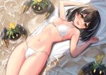  1girl arknights bangs bikini black_hair blush breasts brown_eyes choker crab earrings eyebrows_visible_through_hair highleg highleg_bikini highres jewelry looking_at_viewer lying magallan_(arknights) medium_breasts metal_crab_(arknights) multicolored_hair navel on_back open_mouth short_hair side-tie_bikini sigm@ streaked_hair swimsuit water wet white_bikini 