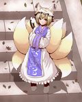  blonde_hair cat_tail chen fox_tail from_above hands_in_opposite_sleeves hat hiding hiro_(pqtks113) leaf looking_at_viewer multiple_girls multiple_tails short_hair smile solo_focus stairs standing tail touhou when_you_see_it yakumo_ran yellow_eyes 