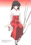  absurdres black_hair blue_eyes copyright_request hakama highres japanese_clothes long_hair miko nakamura_takeshi red_hakama solo tabi 