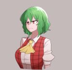  1girl :| ascot breasts bright_pupils closed_mouth collared_shirt english_commentary eyebrows_visible_through_hair green_hair highres jitome kazami_yuuka mata_(matasoup) open_clothes open_vest plaid plaid_vest red_eyes red_vest serious shirt simple_background sleeves_rolled_up solo touhou upper_body vest white_pupils white_shirt yellow_neckwear 