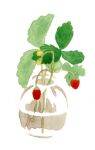  artist_name blending bud chromatic_aberration food fruit hirasawa_minami leaf no_humans no_lineart original partially_immersed plant refraction simple_background still_life strawberry traditional_media transparent vase water white_background 