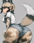  1girl african_wild_dog_(kemono_friends) ass ass_focus bangs blush breasts cowboy_shot elbow_gloves eyebrows_visible_through_hair from_behind gloves grey_background grey_hair highres kemono_friends large_breasts looking_at_viewer looking_back multicolored_hair pantyhose shibori_kasu shirt short_hair short_shorts short_sleeves shorts simple_background solo two-tone_hair white_shirt 