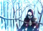  1boy archbishop_(ragnarok_online) bangs bare_tree black_coat black_eyes brown_cloak celtic_cross cloak closed_mouth coat commentary_request cropped_jacket cross cross_necklace forest glowing glowing_eye heterochromia hood hood_up hooded_cloak horned_hood horns inverted_cross jacket jewelry looking_at_viewer male_focus mit_(necomit) nature necklace ragnarok_online red_eyes short_hair snow snowing solo tree upper_body white_hair white_jacket winter 