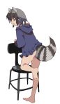  1girl alternate_costume animal_ears ass bare_legs barefoot black_hair blue_hoodie casual chair common_raccoon_(kemono_friends) extra_ears eyebrows_visible_through_hair flat_ass full_body grey_hair highres hood hood_down hoodie kemono_friends looking_to_the_side multicolored_hair nanana_(nanana_iz) no_pants raccoon_ears raccoon_girl raccoon_tail short_hair simple_background solo standing standing_on_one_leg tail white_background 