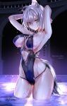  animal_ears pottsness swimsuits tail wet 