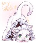  :3 animal animal_ears body_fur cat cat_ears cat_tail claws closed_mouth commentary_request dated green_eyes ikuta_takanon maid maid_headdress no_humans original smile solo tail top-down_bottom-up twitter_username whiskers 