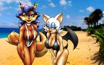  carmelita_fox catsprin crossover rouge_the_bat sega sly_cooper sonic_team 