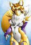  digimon karabiner renamon tagme 