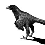 animal_focus archaeopteryx commentary dinosaur english_commentary from_side greyscale highres monochrome no_humans original simple_background white_background y_naf 