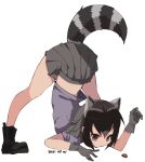  1girl adapted_costume animal animal_ears arched_back arm_rest back bangs bare_arms bare_legs black_footwear black_hair boots brown_eyes bug common_raccoon_(kemono_friends) elbow_rest extra_ears flexible full_body gloves grey_gloves grey_hair grey_skirt hand_up highres jack-o&#039;_challenge kemono_friends ladybug looking_at_another medium_hair meme microskirt midriff_peek multicolored_hair nanana_(nanana_iz) no_bodystocking pleated_skirt purple_shirt raccoon_ears raccoon_girl raccoon_tail shirt short_sleeves sidelocks simple_background skirt solo_focus spread_legs standing stretch striped striped_tail tail top-down_bottom-up white_background 