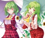  2girls :d aka_tawashi ascot bangs belt blush buckle buttons collared_shirt commentary_request flower frilled_skirt frilled_sleeves frills green_hair holding holding_umbrella kazami_yuuka kazami_yuuka_(pc-98) leaf long_sleeves multiple_girls open_mouth pants parasol petals petticoat plaid plaid_pants plaid_skirt plaid_vest plant red_eyes red_skirt red_vest shiny shiny_hair shirt short_hair simple_background skirt skirt_set smile standing sunflower touhou touhou_(pc-98) umbrella upper_body vest vines wavy_hair white_background white_shirt yellow_neckwear 