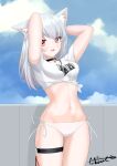  animal_ears bikini garter musicat nekomimi swimsuits 