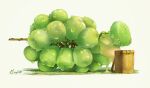  absurdres animal basket dew_drop fantasy food frog fruit grapes hachiya_shohei highres holding holding_food holding_fruit no_humans original signature water_drop white_background 