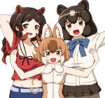  3girls :d animal_ears arm_up armpits arms_behind_head bangs bare_arms bare_shoulders bear_ears behind_another belt bike_shorts bike_shorts_under_skirt black_hair blouse bow bowtie breasts brown_bear_(kemono_friends) brown_eyes brown_hair cleavage commentary_request dhole_(kemono_friends) dog_ears extra_ears eyebrows_visible_through_hair grey_hair hand_on_another&#039;s_chest hands_up height_difference hippopotamus_(kemono_friends) hippopotamus_ears kemono_friends large_breasts light_brown_hair long_hair looking_at_viewer medium_hair microskirt midriff multicolored_hair multiple_girls navel official_alternate_costume open_mouth red_hair shirt short_sleeves sidelocks simple_background skirt sleeveless sleeveless_shirt smile stomach two-tone_hair volfogg_asagi white_background white_hair 