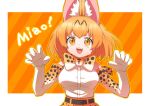  1girl animal_ear_fluff animal_ears blonde_hair bow bowtie claw_pose commentary diagonal_stripes elbow_gloves extra_ears eyebrows_visible_through_hair gloves high-waist_skirt inukoro_(spa) kemono_friends looking_at_viewer open_mouth orange_background orange_eyes print_gloves print_neckwear romaji_text serval_(kemono_friends) serval_print shirt short_hair skirt sleeveless sleeveless_shirt smile solo striped striped_background 