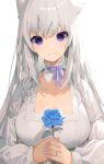  1girl akizone animal_ears bangs blue_choker blue_flower breasts choker closed_mouth collarbone dress eyebrows_visible_through_hair flower grey_hair hands_clasped highres holding holding_flower jewelry large_breasts long_hair long_sleeves looking_at_viewer neck_ribbon original own_hands_together purple_eyes ribbon ribbon_choker ring rose shiny shiny_hair silver_hair simple_background smile solo upper_body wedding_band white_background white_dress 