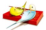  animal animal_focus beak bird blue_feathers box commentary food foot_hold full_body green_feathers lifting lying no_humans on_back original parakeet pocky shadow simple_background talons torikawawa white_background 
