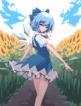 1girl absurdres blue_bow blue_eyes blue_hair blue_sky blush bow cirno cloud dirt_road flower highres ice ice_wings looking_at_viewer lyrinne neck_ribbon red_ribbon ribbon road short_hair sky smile solo sunflower touhou walking wings 