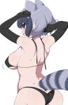  1girl alternate_breast_size animal_ears arms_up ass back bikini black_bikini black_hair black_swimsuit breasts brown_eyes commentary_request common_raccoon_(kemono_friends) elbow_gloves extra_ears from_behind gloves grey_hair highres kemono_friends large_breasts looking_at_viewer medium_hair multicolored_hair open_mouth raccoon_ears raccoon_girl raccoon_tail ransusan sidelocks sideways_glance simple_background skindentation smile solo strap_gap swimsuit tail upper_body white_background 