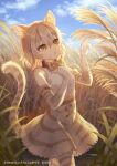  animal_ears animal_print bare_shoulders bow bowtie cat_(kemono_friends) cat_ears cat_girl cat_print cat_tail collar commentary_request elbow_gloves extra_ears eyebrows_visible_through_hair gloves high-waist_skirt kemono_friends kemono_friends_3 light_brown_hair namihaya official_art print_gloves print_legwear print_neckwear print_skirt red_collar shirt short_hair skirt sleeveless tail thighhighs translation_request wheat wheat_field white_shirt yellow_eyes zettai_ryouiki 