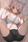  1girl absurdres alternate_costume animal_ear_fluff animal_ears bangs barefoot bed_sheet bike_shorts black_shorts blush bra breasts breasts_apart commentary_request feet_out_of_frame grey_hair hair_between_eyes highres inubashiri_momiji looking_at_viewer lying mamemochi medium_breasts midriff navel on_back on_bed paw_pose red_eyes reward_available short_hair shorts silver_hair solo sports_bra spread_legs tail touhou underwear white_bra wolf_ears wolf_girl wolf_tail 